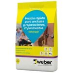 Weber Rapid