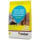 weber rapid