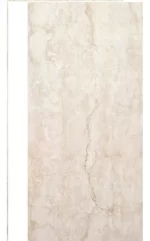 Alberdi Classic HD Rectificado 60 x 120 - Imagen 2