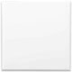 Damero-Blanco-Brillante-20x20-1-1